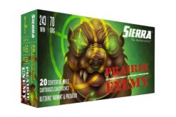 Sierra A150702 GameChanger 243 Win 70 gr Sierra BlitzKing Rifle Ammo - 20 Rounds