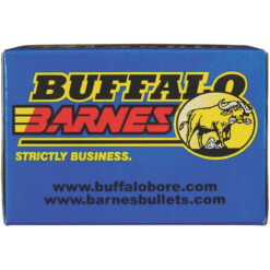 Buffalo Bore Ammunition 23E20 Standard Pressure Strictly Business 40 S&W 140 gr Barnes TAC XP Lead Free Handgun Ammo - 20 Rounds